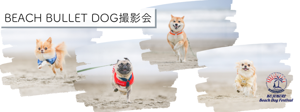 BEACH BULLET DOG 撮影会