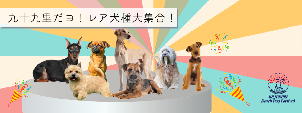 九十九里だヨ！レア犬種大集合！