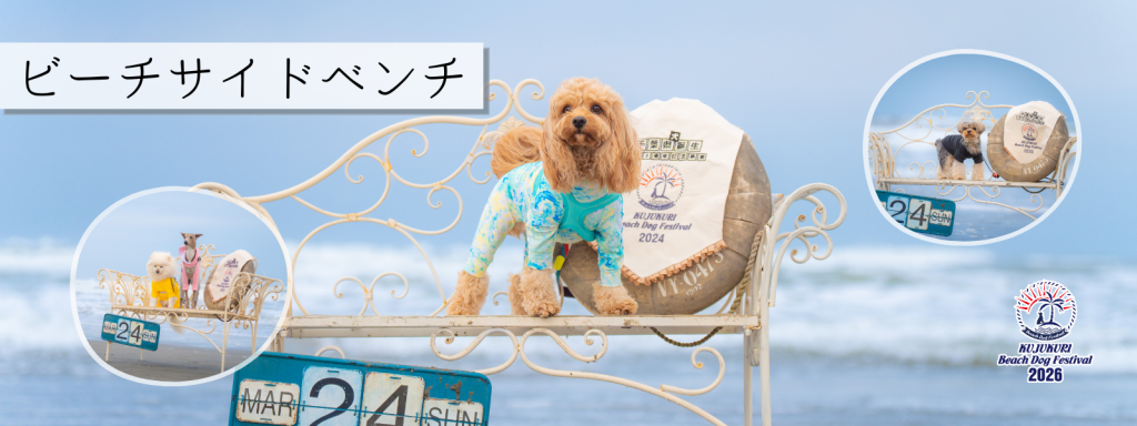 ビーチサイドベンチ