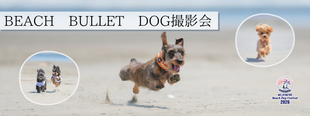 BEACH BULLET DOG 撮影会