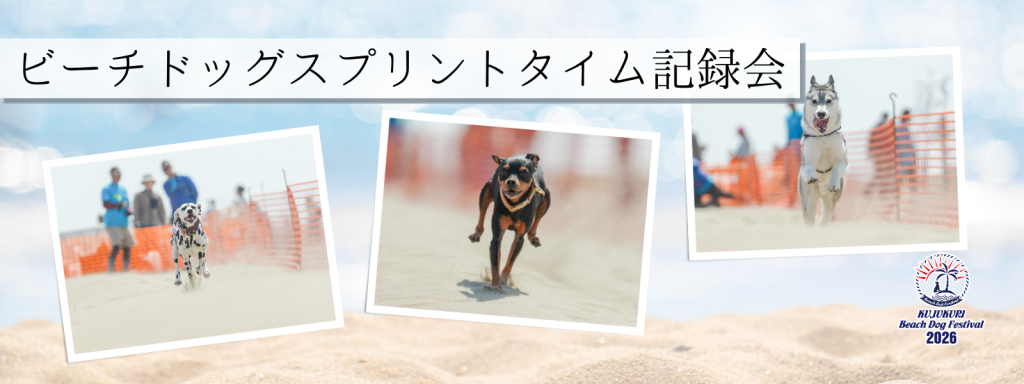 ビーチドッグスプリントタイム記録会