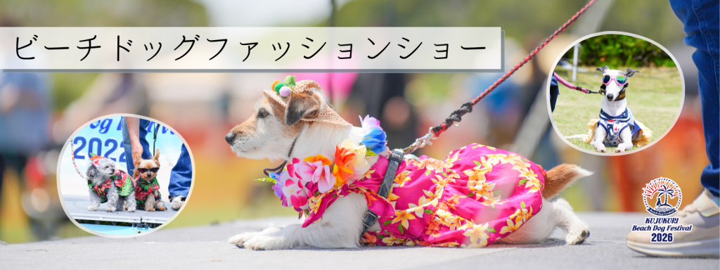 ビーチドッグファッションショー