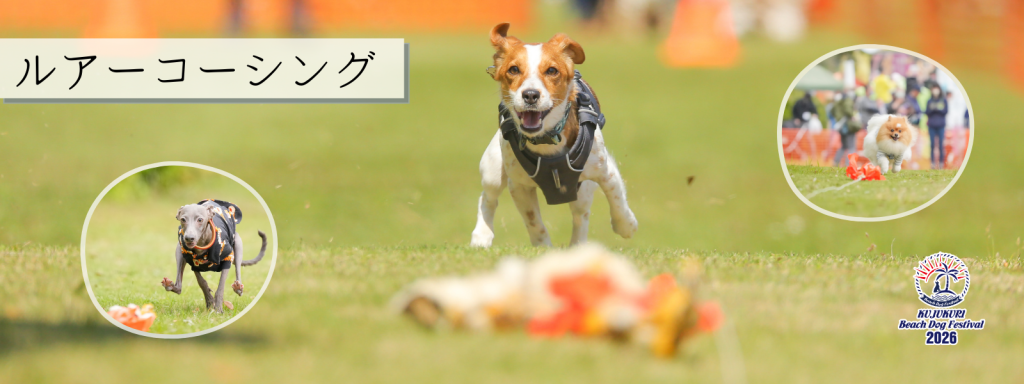 ルアーコーシング