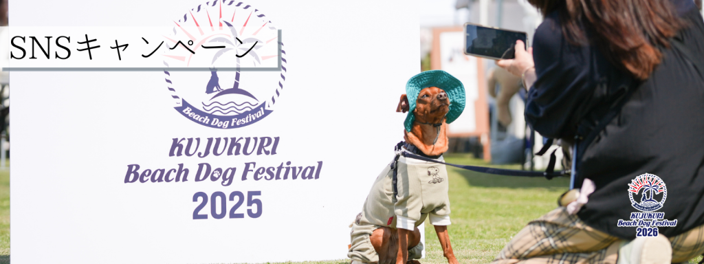 SNSキャンペーン